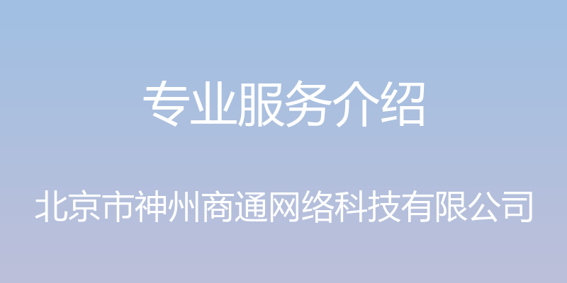 专业服务介绍 - 北京市神州商通网络科技有限公司